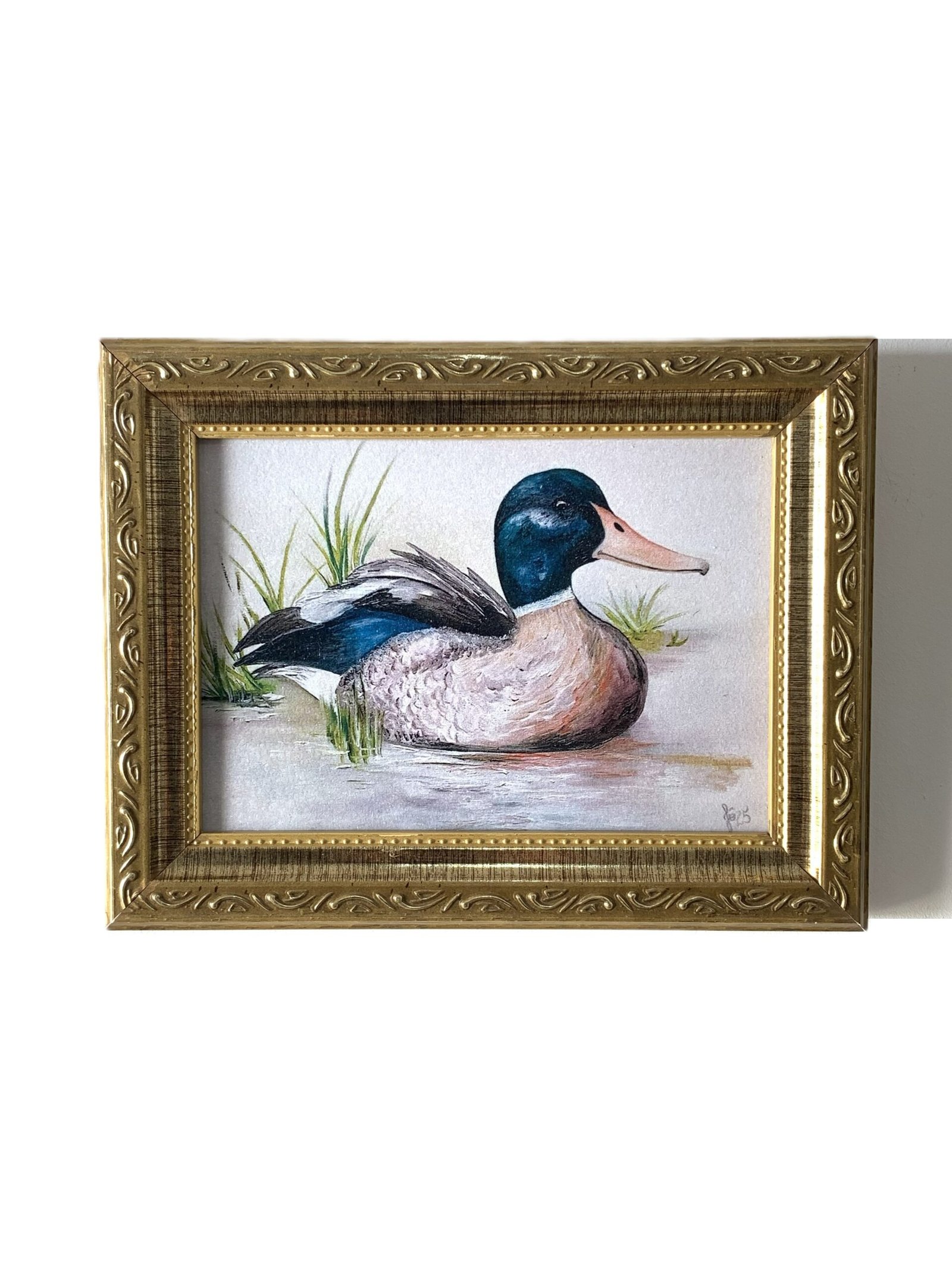 O Pato Real - Reprodução Artística - Imagem 1