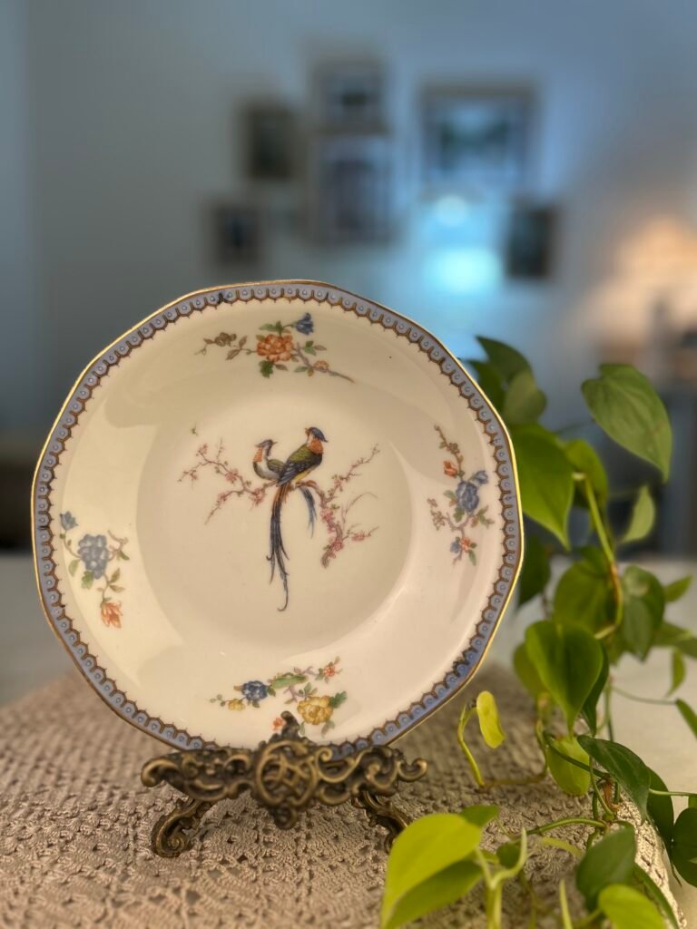 Prato fundo francês Théodore Haviland Limoges Paradise com pássaros